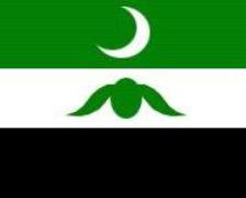 Флаг партии "Ватан"
