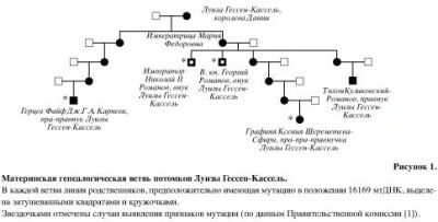 Материнская генеалогическая ветвь потомков Луизы Гессен-Кассель (рис.1)