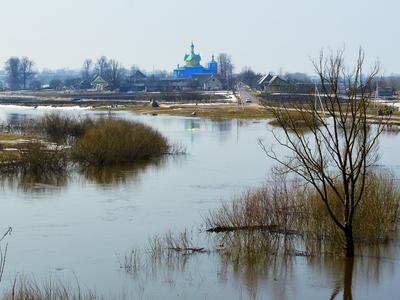 Вид на Свято-Успенский храм в Шарковщине. Фото 2011 г.