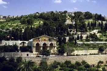 Вид на Елеонскую гору и Гефсиманский сад