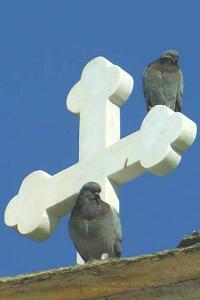Крест на куполе. Святая Гора Афон. Греция. Январь 2005