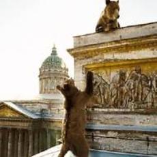 Кадр из рекламного ролика (медведи на крыше Казанского собора)