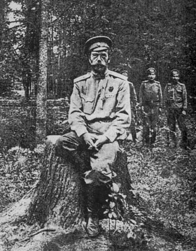 Император Николай II после отречения