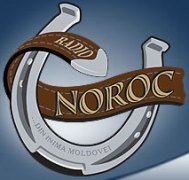 Логотип молдавского Radio Noroc