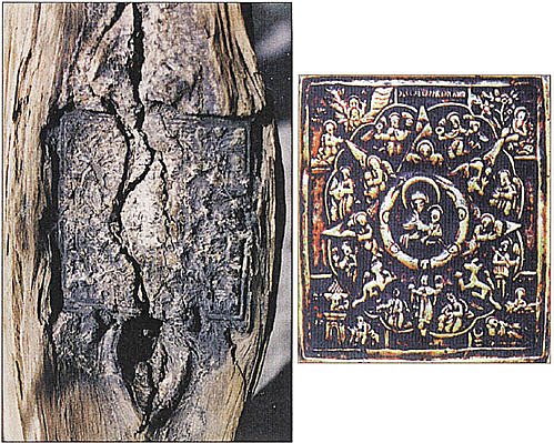 Сосновое полено (на фото слева), в которое вросла икона "Неопалимая Купина", так и не сгорело в печи.