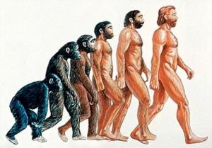 Процесс эволюции по Дарвину