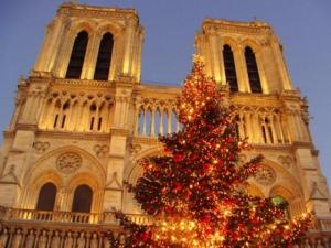Рождественская ель перед собором Парижской Богоматери