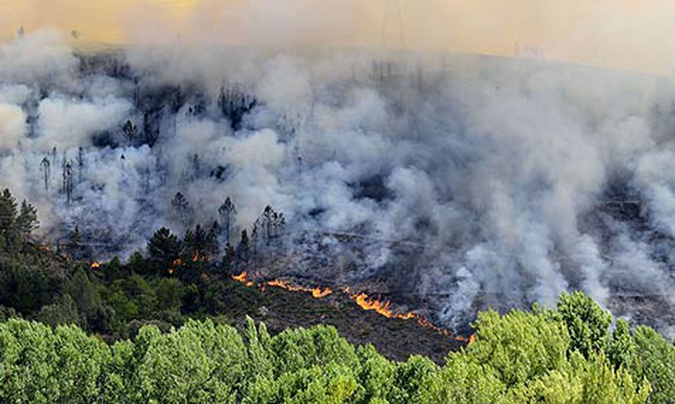 Лесной пожар на Афоне