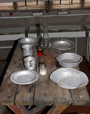 Посуда заключенных Абезьского лагеря
